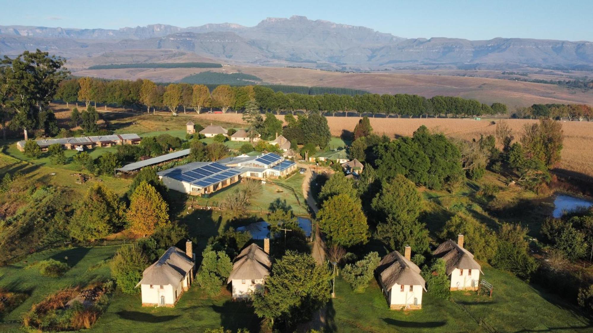 Ardmore Guest Farm Champagne Valley Dış mekan fotoğraf