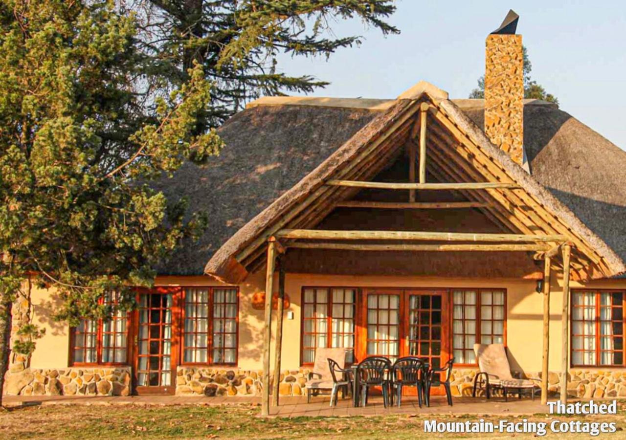 Ardmore Guest Farm Champagne Valley Dış mekan fotoğraf