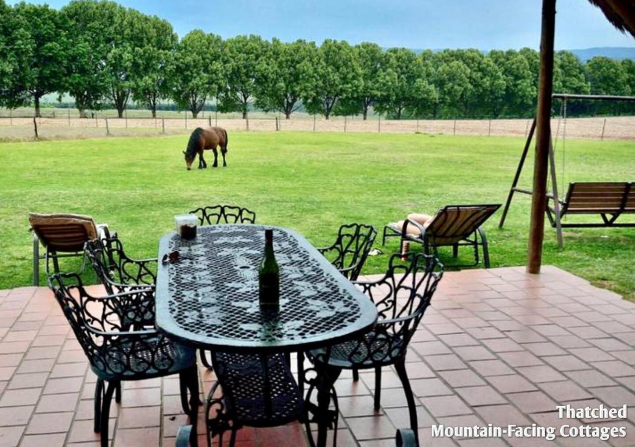 Ardmore Guest Farm Champagne Valley Dış mekan fotoğraf