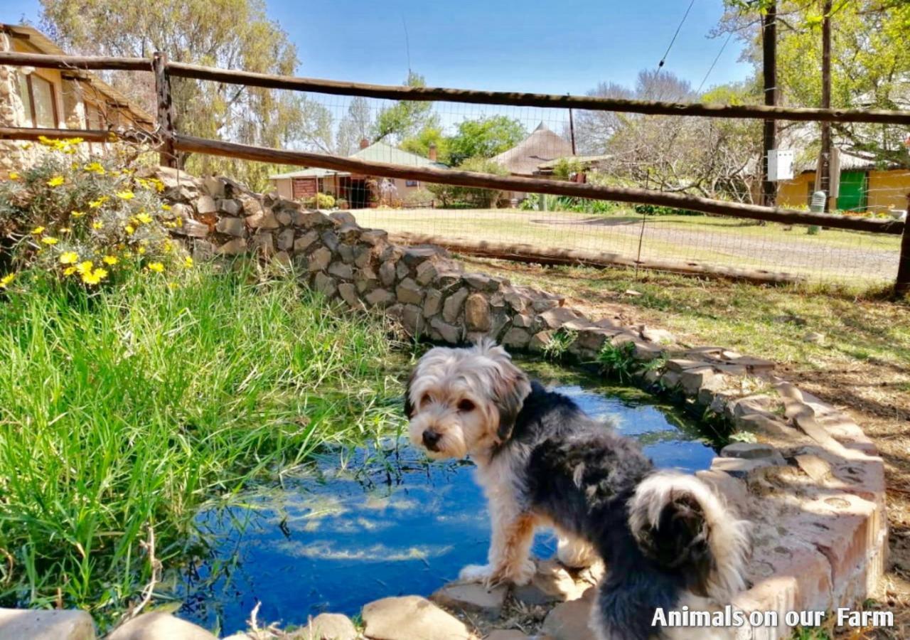 Ardmore Guest Farm Champagne Valley Dış mekan fotoğraf