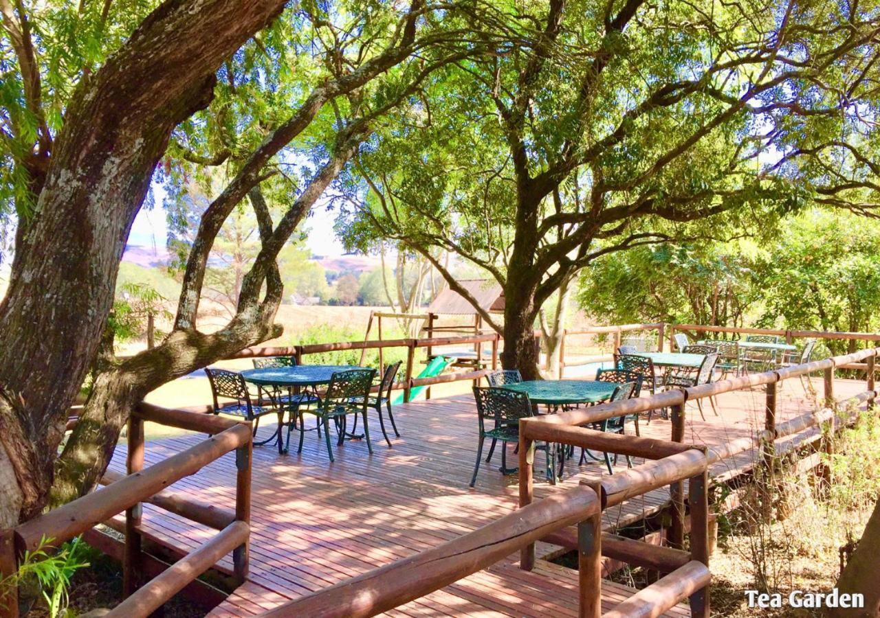 Ardmore Guest Farm Champagne Valley Dış mekan fotoğraf