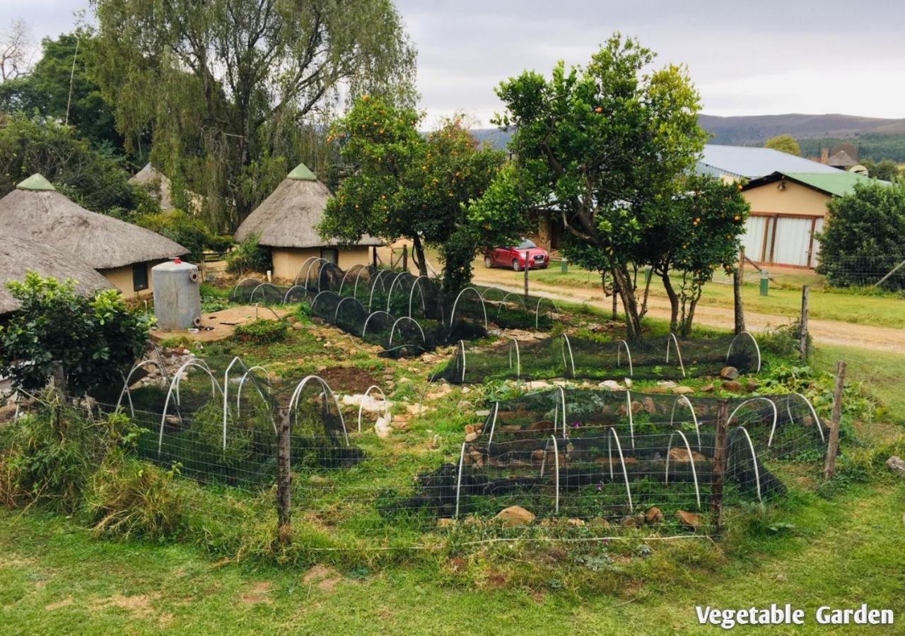 Ardmore Guest Farm Champagne Valley Dış mekan fotoğraf